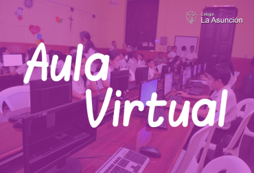 Aula Virtual